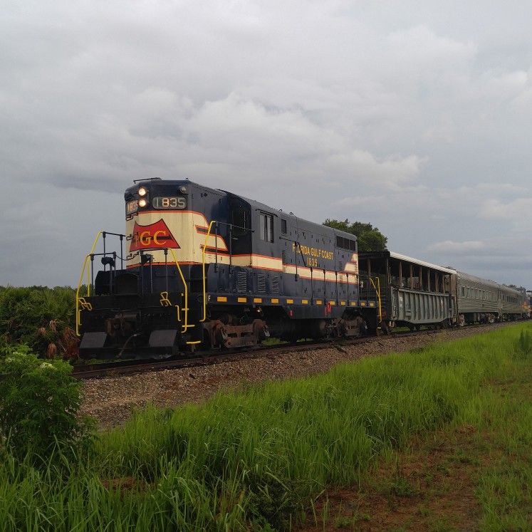 caboose train ride parrish florida railroad the braun team-Arnold Braun local parrish flroida realtor